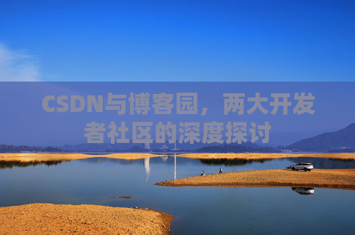 CSDN与博客园，两大开发者社区的深度探讨